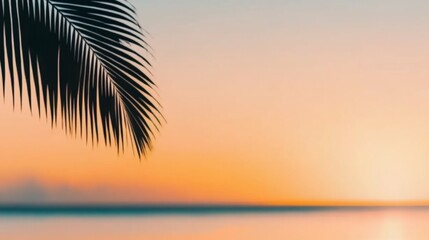 Silhouetted palm frond against a vibrant sunset over calm ocean.
