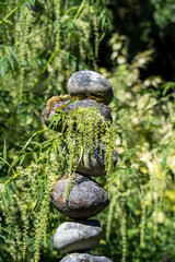  Garden sculpture of stacked round river rocks with branch of False Hemp plant draped over it,...