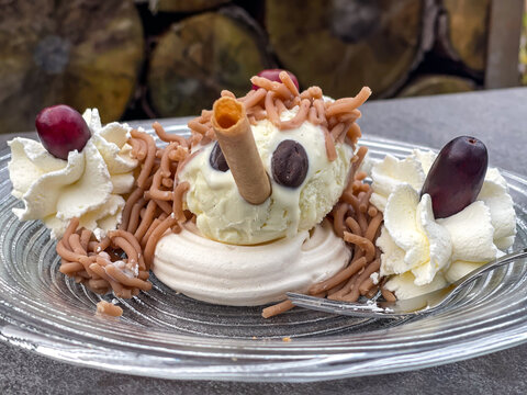  ice cream dessert with fun decorated face, coffee bean eyes, long pinocchio nose, vermicelle chestnut hair on a Meringue bottom and cream and berry garnish in glase plate, with wood log background, 