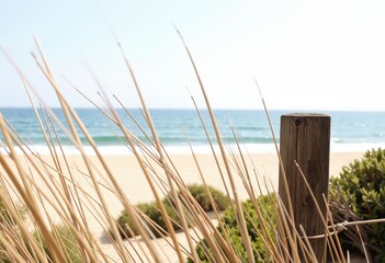 wooden fence on the beach