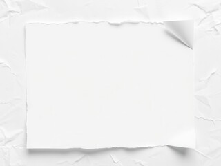 Obraz premium A close-up shot of a crumpled white paper, torn, crease, office