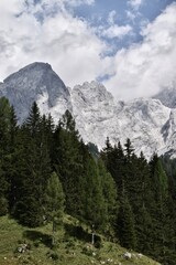 snow covered mountains