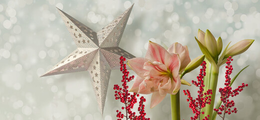 Double hippeastrum (amaryllis) "First love" and paper lightning lantern in star form (mass production) on  gray background.