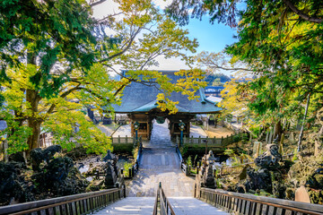 Fototapeta premium 秋の成田山新勝寺 仁王門 千葉県成田市 Naritasan Shinshoji Temple in autumn. Niomon. Chiba Pref, Narita City.