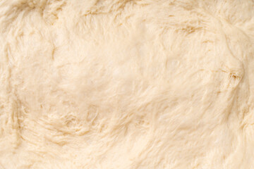 Texture of rolled dough. Background of the dough for baking. Fresh raw dough for pizza or bread...