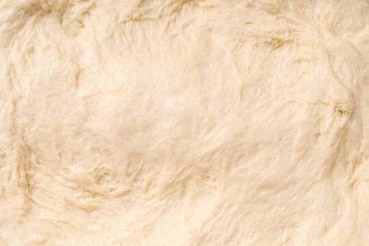Texture of rolled dough. Background of the dough for baking. Fresh raw dough for pizza or bread baking. Close-up fermented doughs, homemade. High quality photo