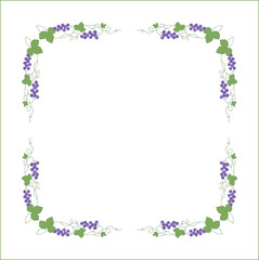 Vegetal frame with grapevine, bunches with blue grape, decorative corners for greeting cards, banners, business cards, invitations, menus. Isolated vector illustration.	
