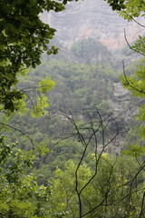 Parque Natural de Ordesa - Pirineos 2024 - 140