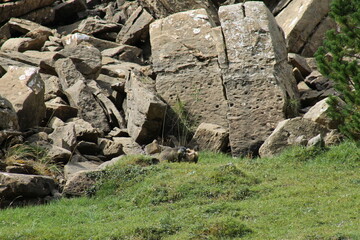 Parque Natural de Ordesa - Pirineos 2024 - 102