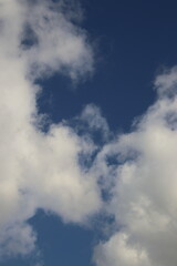 Fototapeta premium 秋空と雲