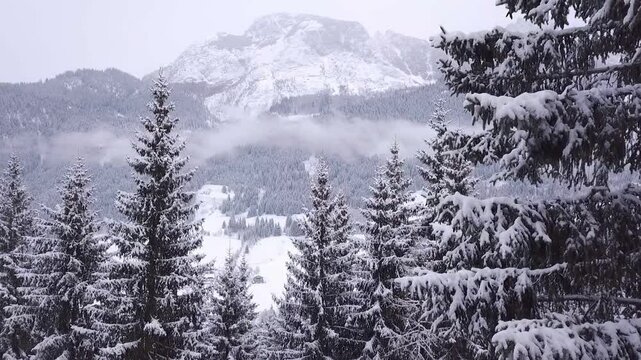 Winter, snow, drone ascending close to firs revealing farms and mountains