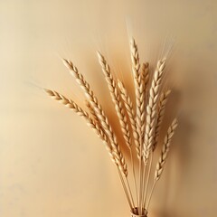 Fototapeta premium Dried wheat stalks create minimalist nature still life against beige background. Light beige background creates simple backdrop for natural wheat. Dried stalks arranged in bundle. Neutral, organic