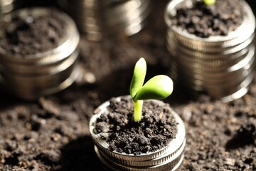 Money growth concept. Coins with young sprout in soil, closeup
