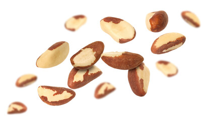 Many Brazil nuts in air on white background