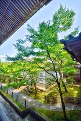 永観堂の御影堂