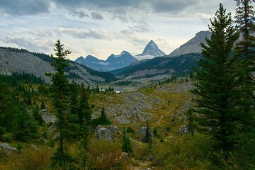 Mount assiniboinne trail backcountry camping and hikking