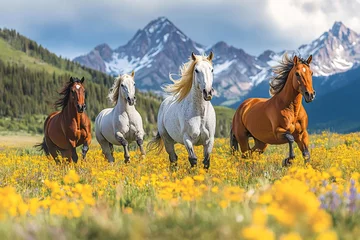 Fotobehang Horses running in wildflower field with mountain backdrop © Lubos Chlubny