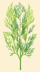 Obraz premium of Various Fresh Green Aromatic Herbs Like Dill Fennel and Parsley on a Cream Colored Background Botanical Showcasing Culinary Herbs and Seasonings