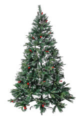 Christmas tree without toys on a white isolated background.