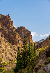 Rocky Landscape with Trees Near Granada Featuring Forest Trees and Mountain Views
