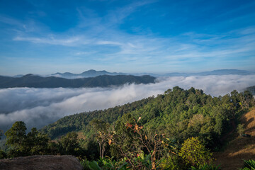 Obraz premium tourist come to see very beautiful fog lake in the morning on the mountain village mae taeng chiangmai thailand