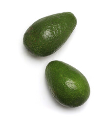 avocado fruit on white background