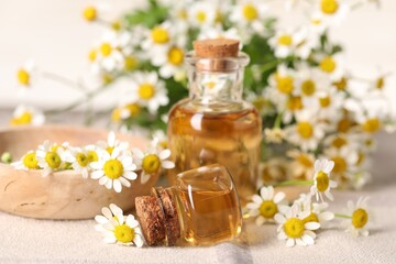 Bottles of essential oil and chamomile flowers on table, closeup