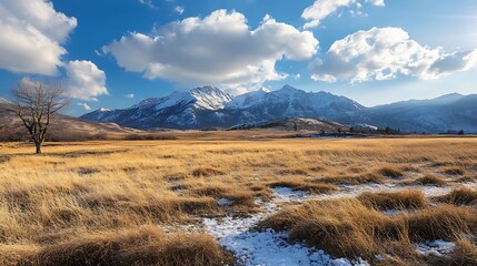 Golden Meadow and Snowy Mountains. Scenic Landscape