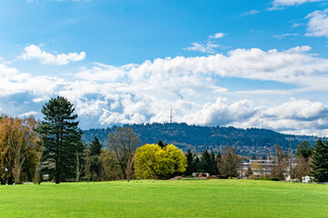 Green Grass and Lawn in Portland, Oregon Park With Hills