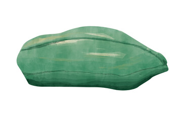 Papaya Fruit Ripe Whole Green Skin Watercolor Illustration for Print and Web Design