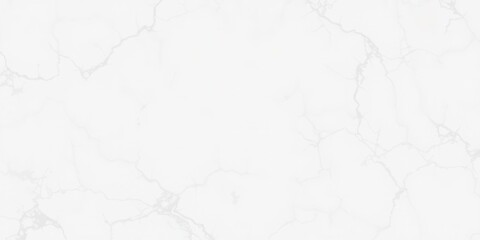 Obraz premium Panoramic white marble stone texture for design projects, smooth, stone