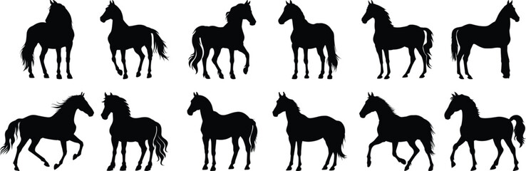 Horse silhouette set vector design big pack of animal illustration and icon