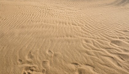 Textured sand dunes ripple in the desert wind.
