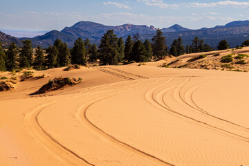 OHV tire tracks stretch off into the distance at Coral Pink Sand Dunes state park in southern Utah.