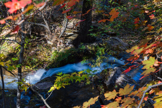 Peering through the Autumn foliage at a cascade along Horton Creek in Tonto National Forest near Payson, Arizona.