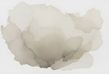 Obraz premium Abstract watercolor blotches in muted earth tones on white paper