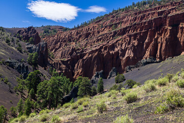 Red Mountain Trail in the Coconino National Forest near Flagstaff, Arizona.
