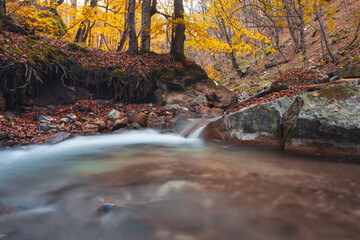 beautiful waterfall in the forest