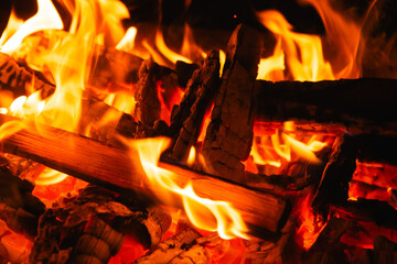 Fototapeta premium burning fire in the fireplace