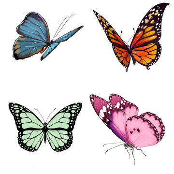 Fototapeta set of butterflies raw