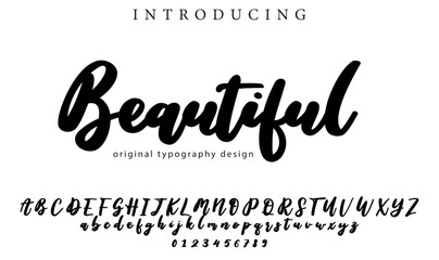 Beautiful Font Stylish brush painted an uppercase vector letters, alphabet, typeface