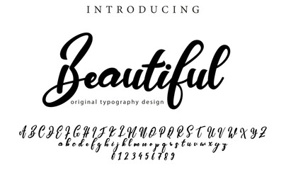 Beautiful Font Stylish brush painted an uppercase vector letters, alphabet, typeface