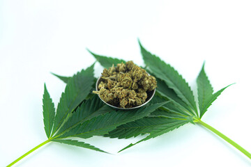 Concept edibles CBD and drinks with cannabis . Glasses with fresh hemp. close up recreation...