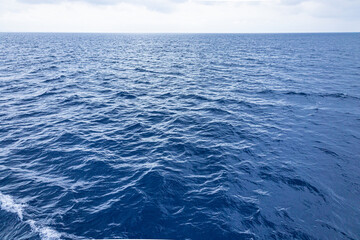 海