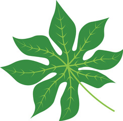 Exotic Tropical Leaves in Flat Design. Vector Illustration