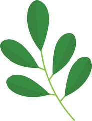 Exotic Tropical Leaves in Flat Design. Vector Illustration