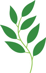 Exotic Tropical Leaves in Flat Design. Vector Illustration