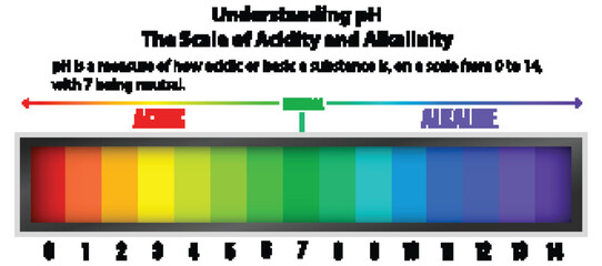 Understanding the pH Scale