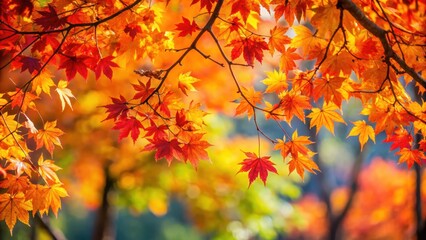 Autumn leaves turning bright red, orange, and yellow on tree branches in a park , vibrant, foliage, seasonal, nature