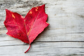 Obraz premium Vibrant Red Heart-Shaped Leaf on Weathered Wooden Surface Capturing the Essence of Fall and Nature's Beauty in a Unique Composition